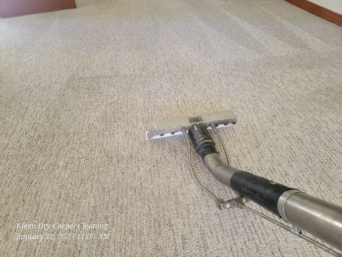 Expert Tips for Carpet Cleaning in Albuquerque